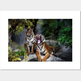 tiger, screaming tiger Posters and Art